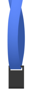 Lanyard